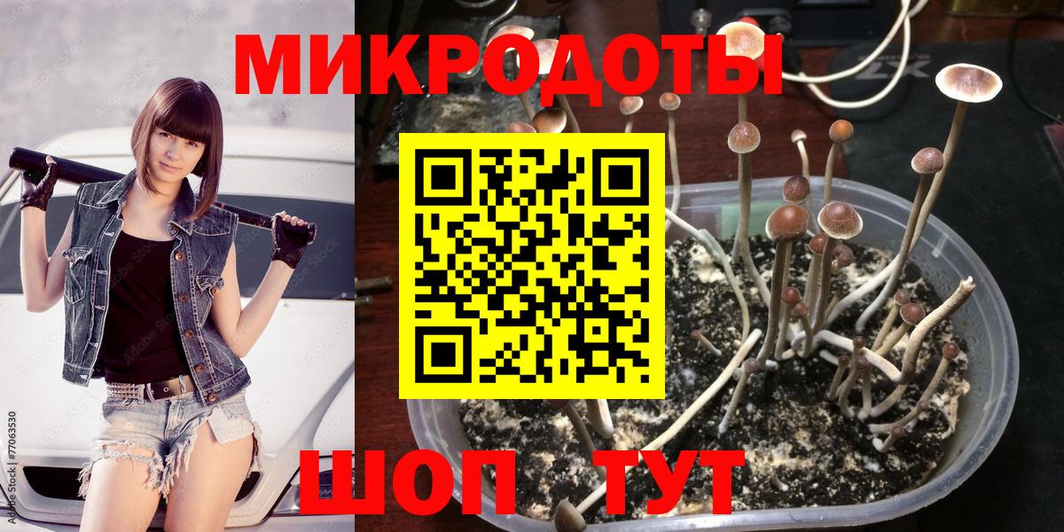 Уварово  Псилоцибиновые грибы GOLDEN TEACHER  Вход с VPN  Псилоцибиновые грибы MAGIC MUSHROOMS 