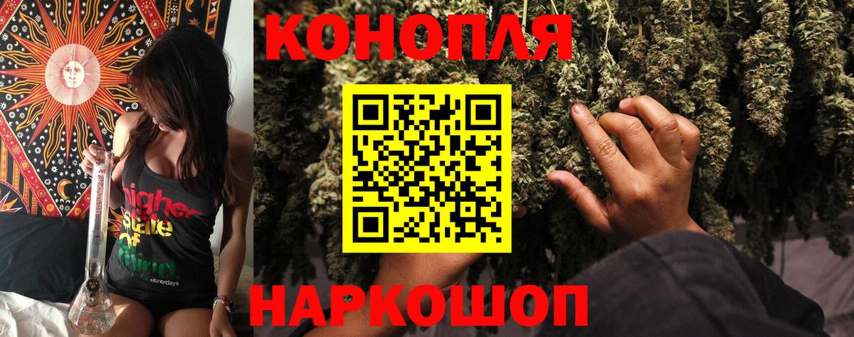 Каннабис OG Kush Уварово